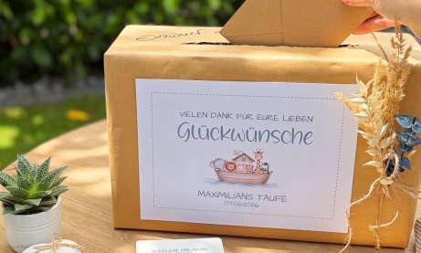 Kartenbox zur Taufe, Cover mit Arche Noah