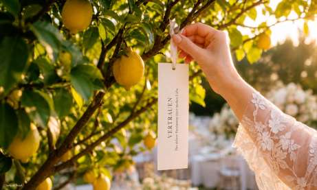 Wunschbaum Karten zur Hochzeit, Wunschkarte wird an Baum gehängt